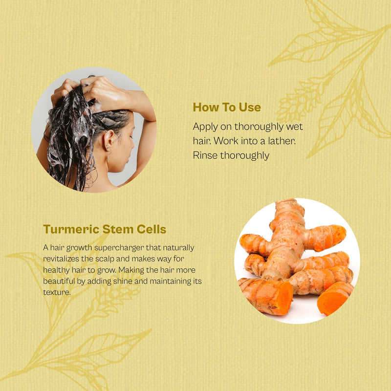 How-to-use-hair-shampoo -August-Bioscience